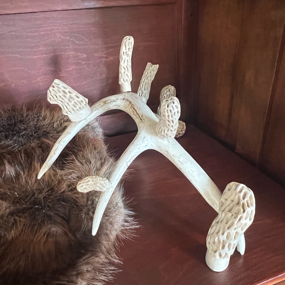 Folk Art Whitetail Shed Antler with hand carved morel mushrooms. - Picture 10 of 11
